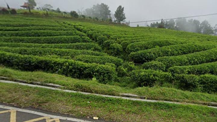 11 Tempat Wisata Subang dengan Suasana Sejuk juga Tenang